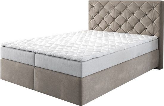 DELIFE Boxspringbett Dream-Great Mikrofaser Grau 120x200 cm mit Matratze und Topper mehr Saisonschlussverkauf