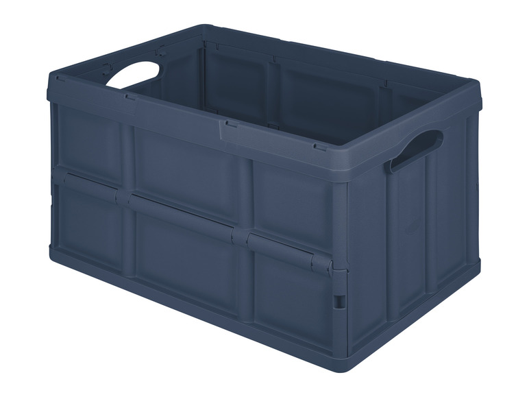 LIVARNO home Klappbox, 62 l Online