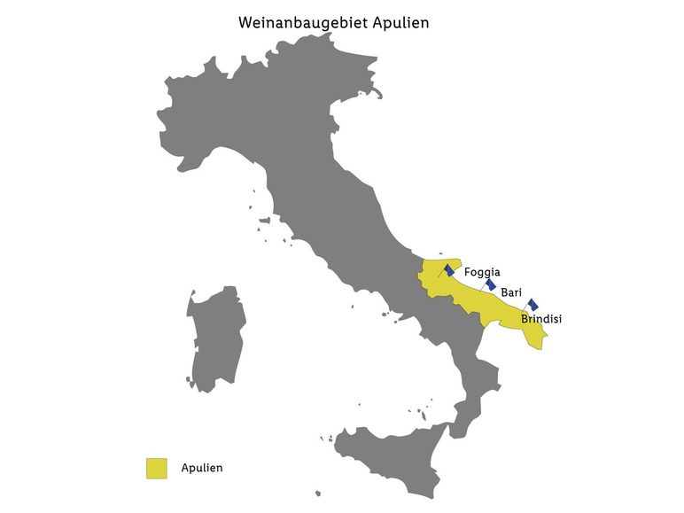Selone Rosso Puglia IGP halbtrocken, Rotwein 2023 Kauf eins, bekomm eins gratis