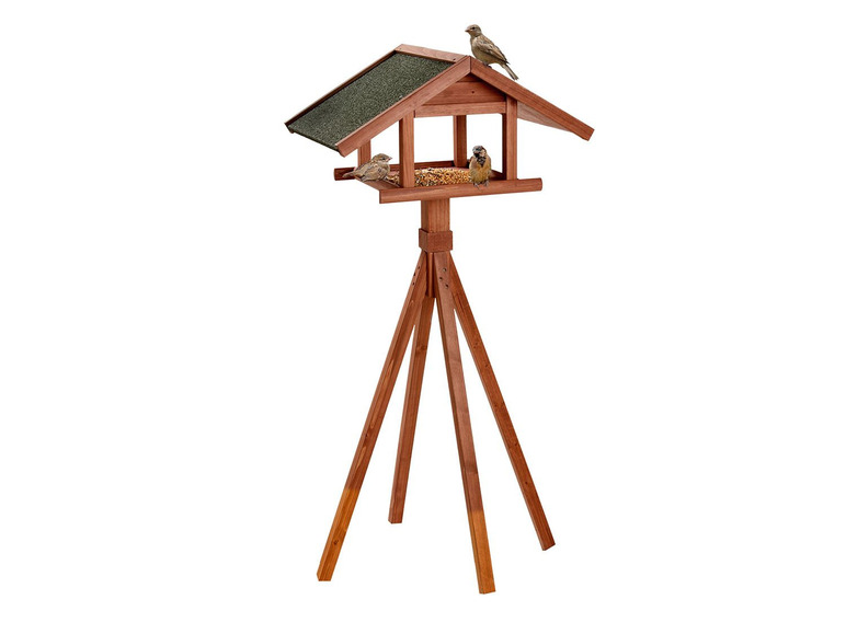 Karlie Bird's World Wild Remo Bestseller