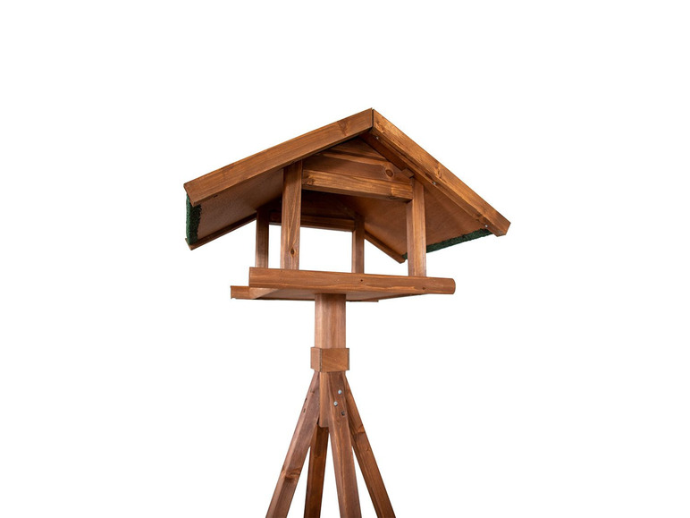 Karlie Bird's World Wild Remo Bestseller