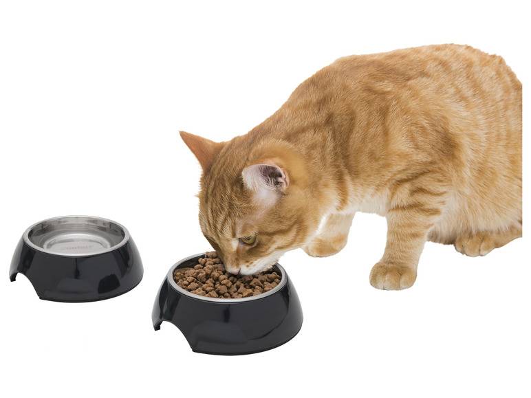 zoofari® Futter- und Trinknapf / Napfunterlage Tägliche Deals