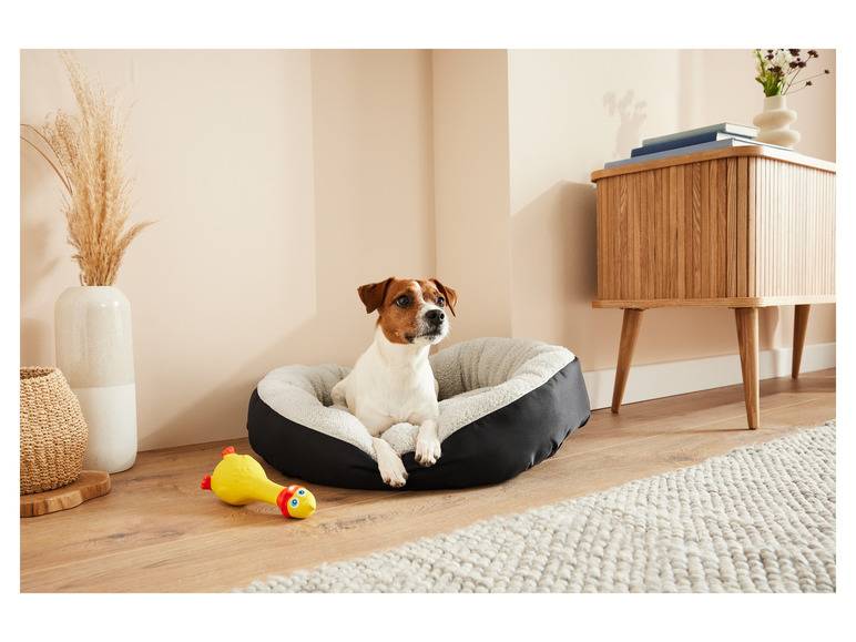 zoofari® Hundebett, mit kuscheligem Plüsch Tiefpreis