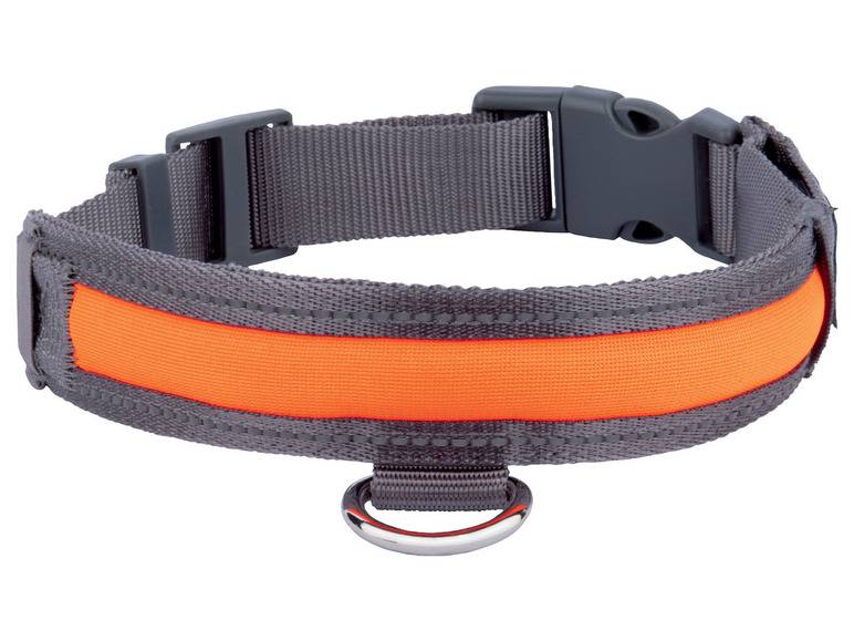 zoofari® Hundehalsband, mit LED Letzte 2 Tage