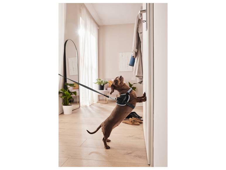 zoofari® Hundegeschirr, mit Klettstickern Letzter Tag