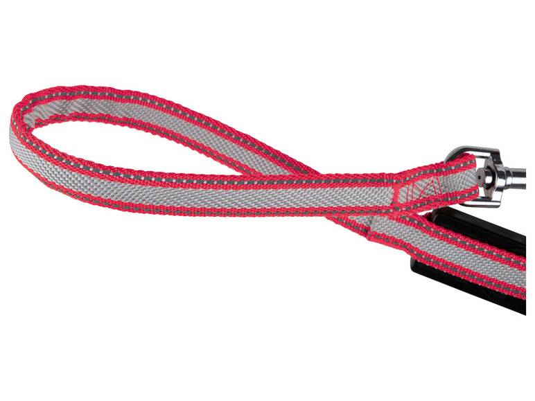 zoofari® Ausziehleine LED, 3 Leuchtfunktionen Bis zu 50% Rabatt