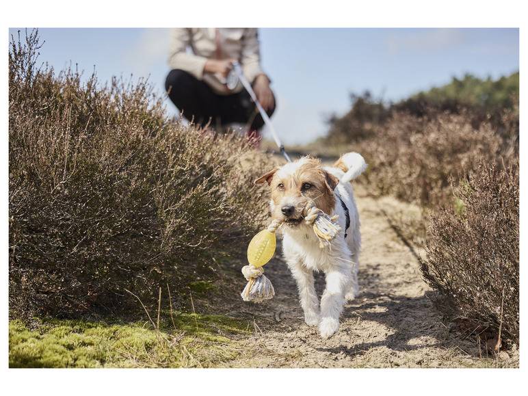 zoofari® Ausziehleine, mit Aufrollfunktion Bis zu 55% Rabatt