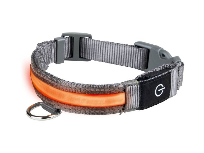 zoofari® LED-Hundeleuchtband, mit wiederaufladbarem Akku Nur noch ein Tag übrig