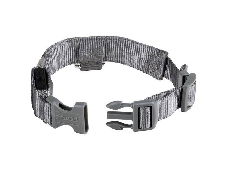zoofari® LED-Hundeleuchtband, mit wiederaufladbarem Akku Nur noch ein Tag übrig