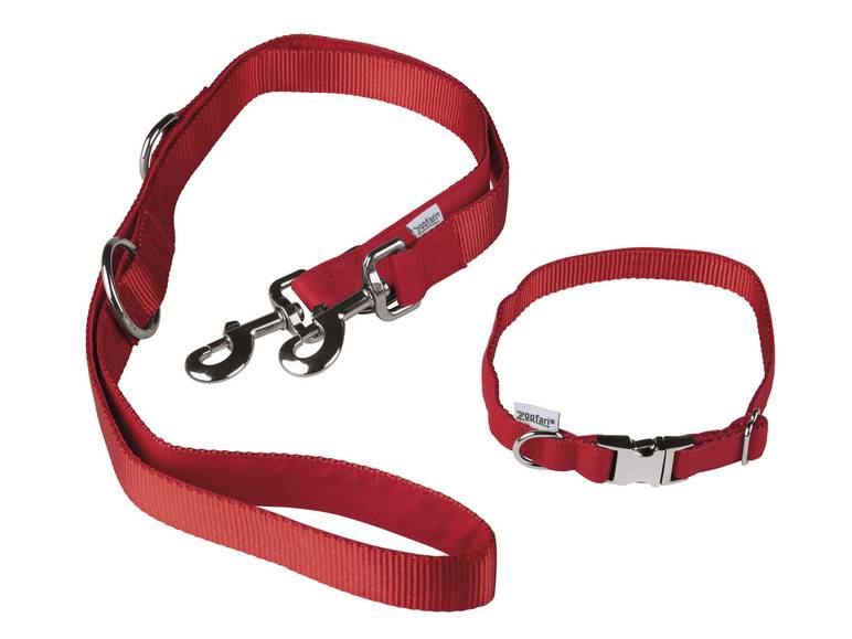 zoofari® Hundehalsband mit Hundeleine Fabrikladen