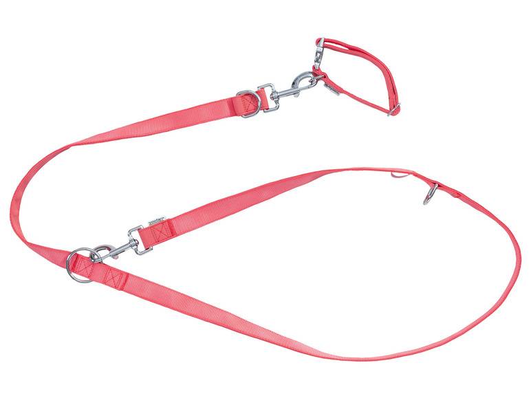 zoofari® Hundehalsband und Hundeleine Speichern exportieren