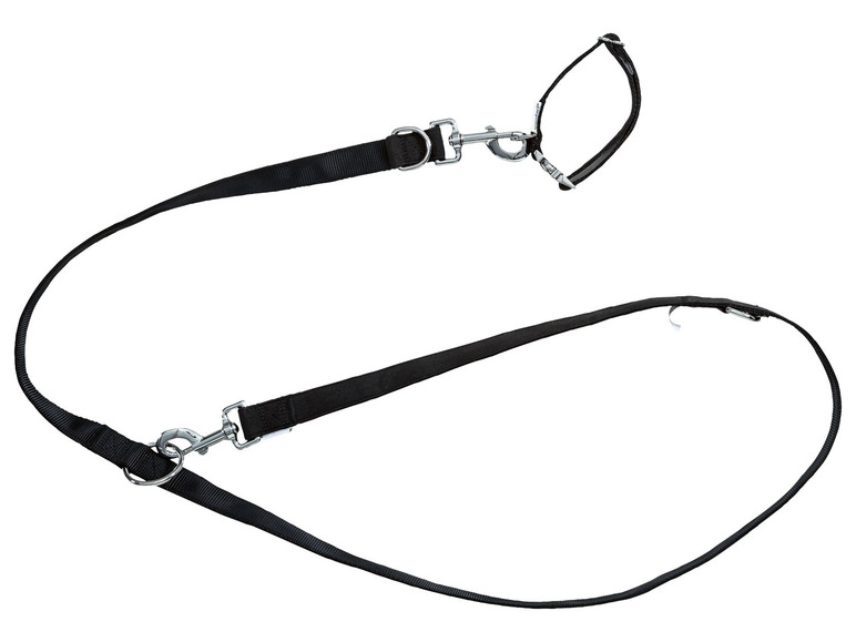 zoofari® Hundehalsband und Hundeleine Speichern exportieren