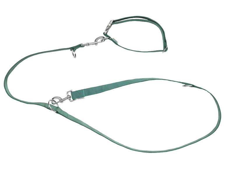 zoofari® Hundehalsband und Hundeleine Speichern exportieren