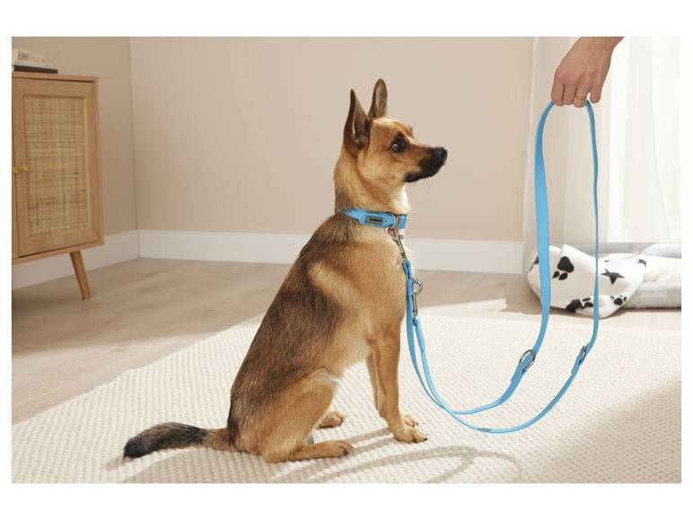 zoofari® Hundehalsband und Leine, 3-fach verstellbar Im Verkauf