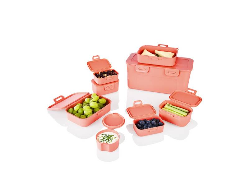 ERNESTO® Frischhaltedosen-Set, 8er-Set Saisonale Angebote