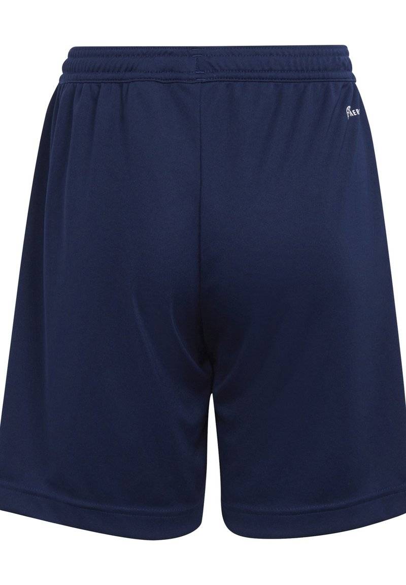adidas Performance adidas Performance ENTRADA - Sports shorts - blue Letzte 2 Tage