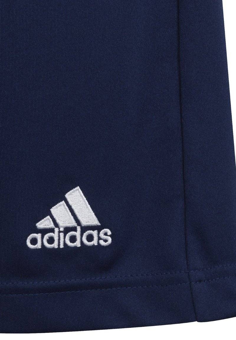 adidas Performance adidas Performance ENTRADA - Sports shorts - blue Letzte 2 Tage