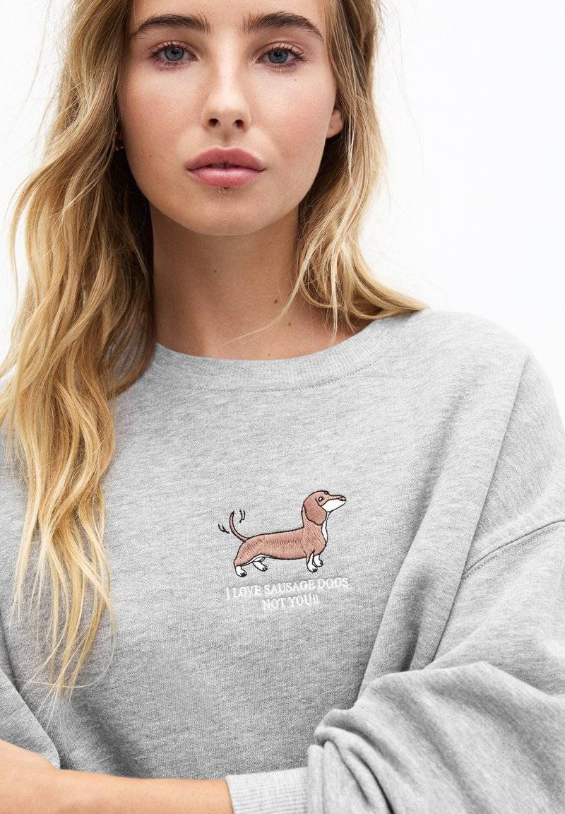 PULL&BEAR PULL&BEAR DOG - Sweatshirt - grey Limitierter Zeitrabatt