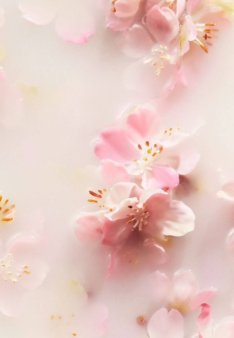 Rituals Rituals FOAMING SHOWER GEL TRAVEL SIZE THE RITUAL OF SAKURA - FLORAL - CHERRY BLOSSOM & RICE MILK - Shower gel Neueste Stile