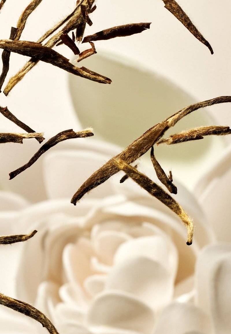 Rituals Rituals FRAGRANCE STICKS THE RITUAL OF KARMA - DELICATELY SWEET - LOTUS & WHITE TEA - Home fragrance Im Verkauf