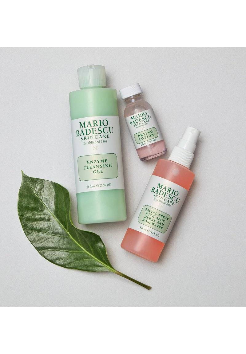 Mario Badescu Mario Badescu FACIAL SPRAY ALOE, HERBS & ROSEWATER - Setting spray & powder Neueste Stile
