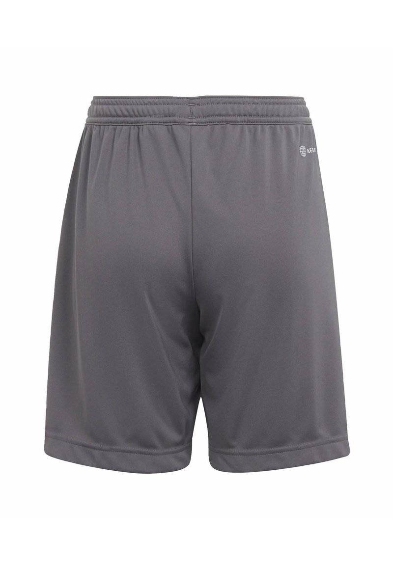 adidas Performance adidas Performance ENTRADA - Sports shorts - grey Wochenangebot