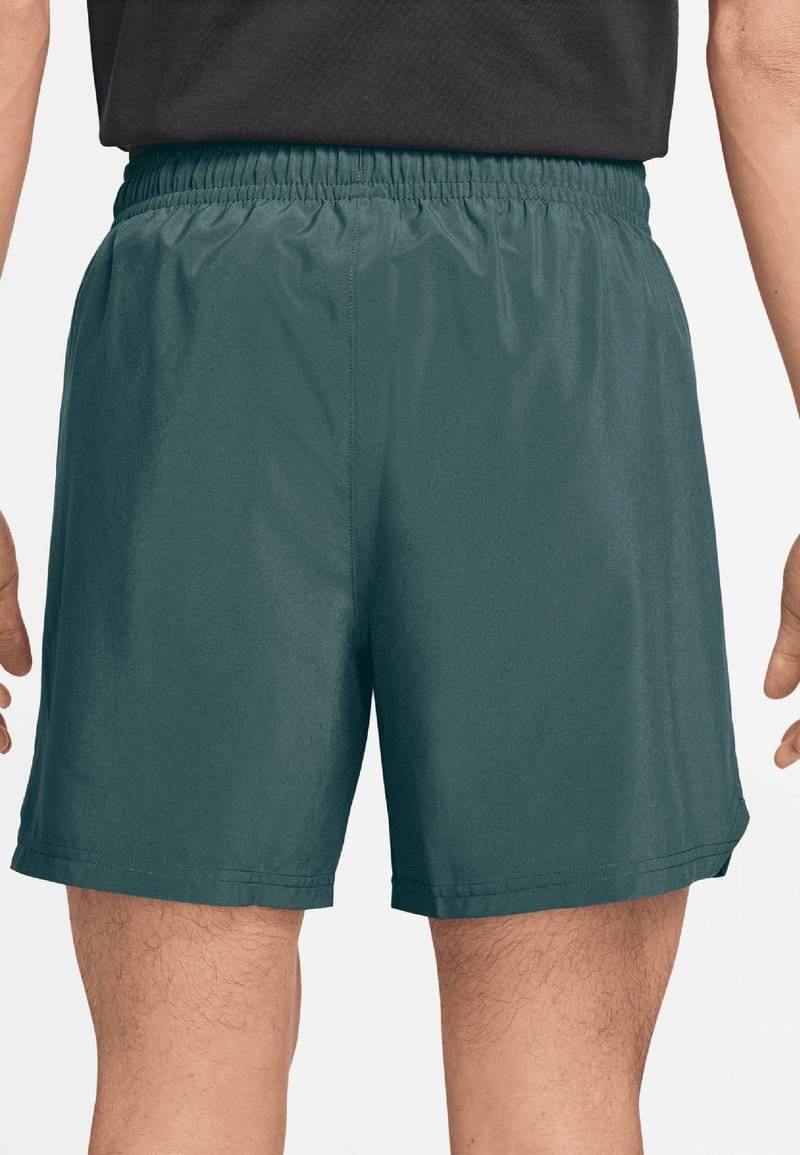 Jordan Jordan Sports shorts - oxidized green Großer Ausverkauf