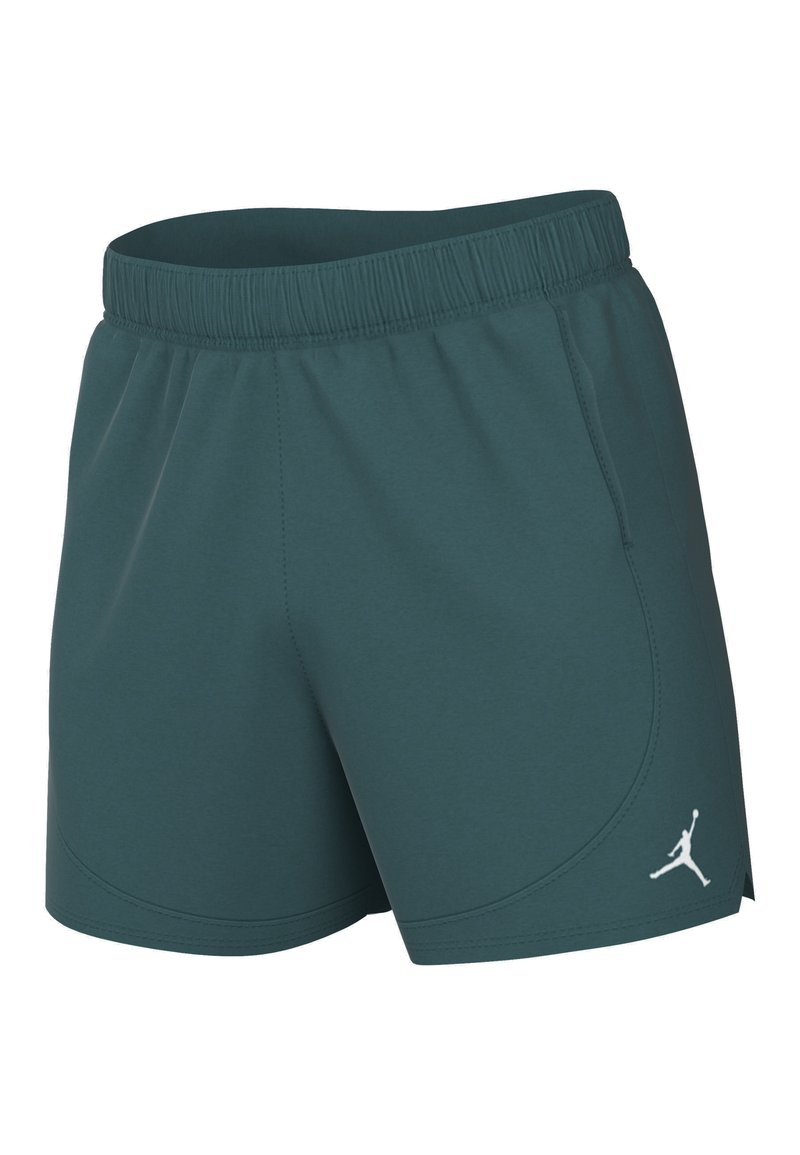 Jordan Jordan Sports shorts - oxidized green Großer Ausverkauf
