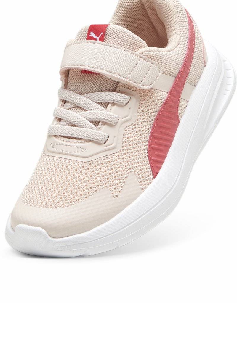 Puma Puma EVOLVE - Stability running shoes - island pink white tart cherry Kostenlose Rückgabe
