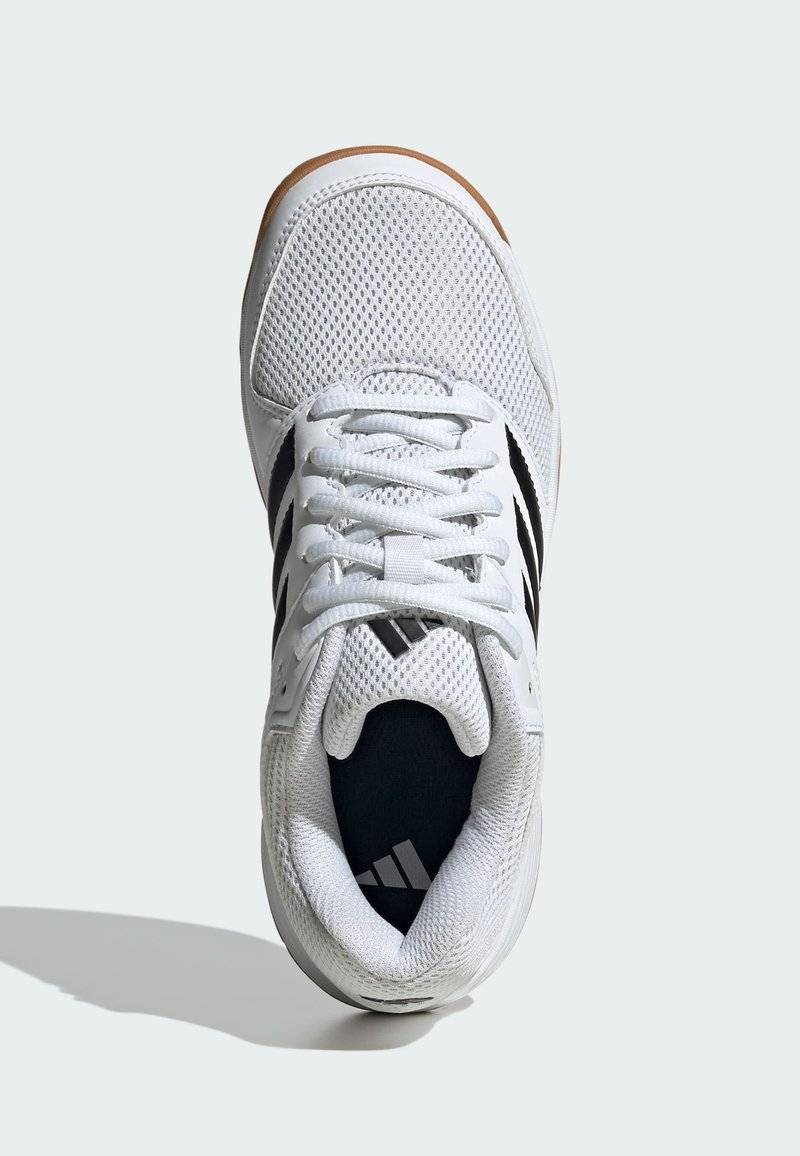 adidas Performance adidas Performance SPEEDCOURT INDOOR KIDS - Stability running shoes - cloud white core black gum Neueste Stile