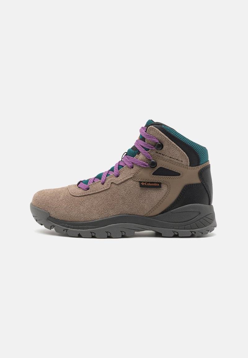 Columbia Columbia NEWTON RIDGE - Hiking shoes Black Friday