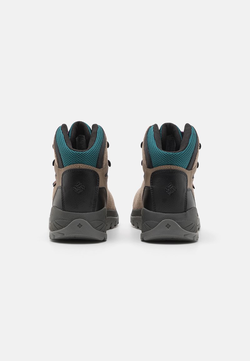 Columbia Columbia NEWTON RIDGE - Hiking shoes Black Friday