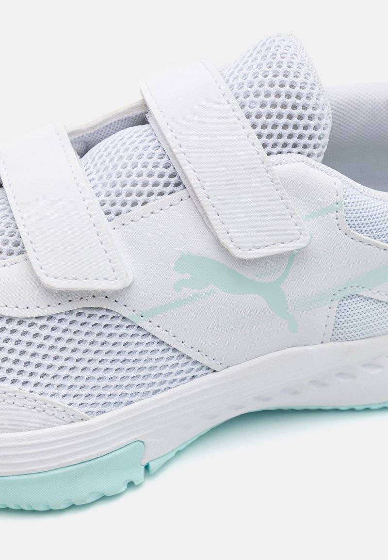 Puma Puma VARION II V JR UNISEX - Handball shoes Kostenlose Rückgabe