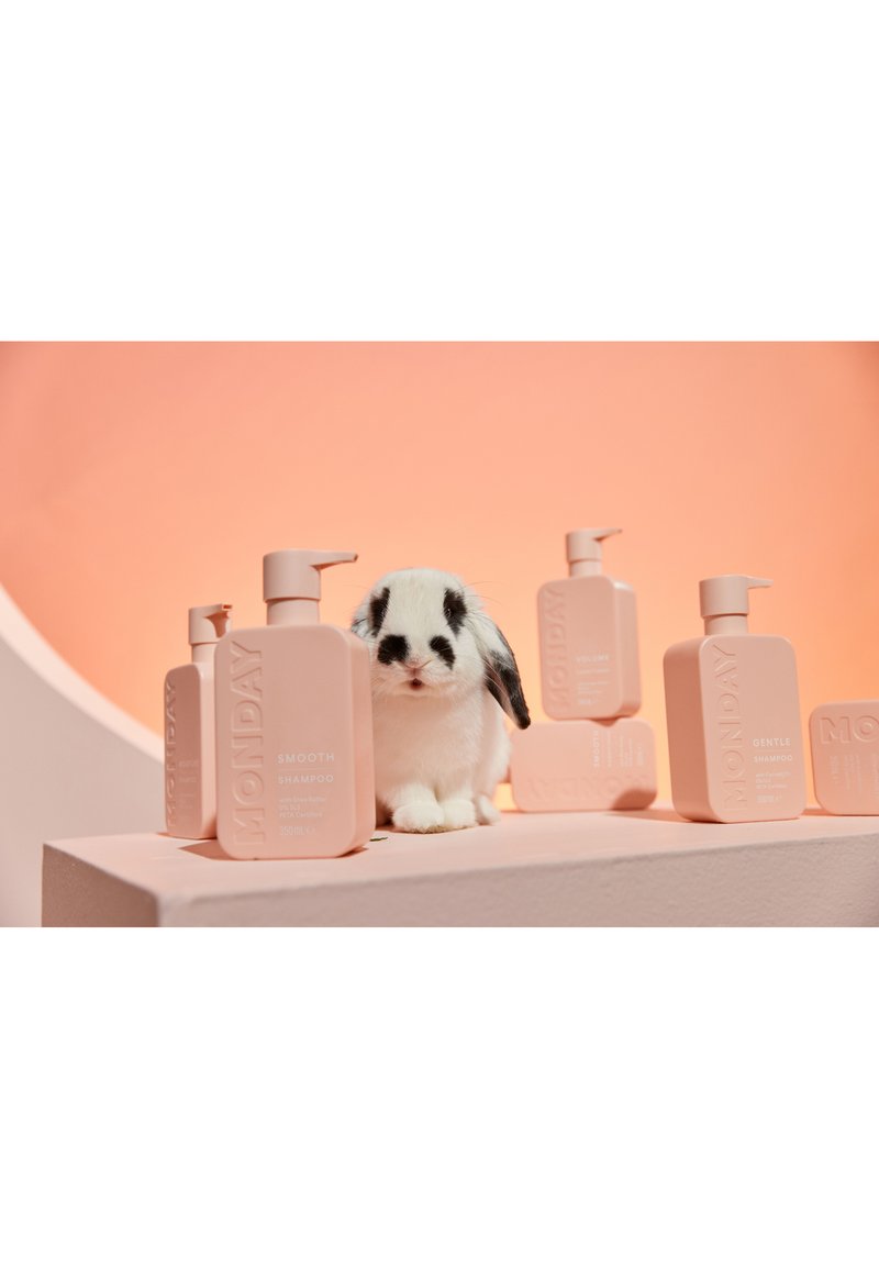 Monday Haircare Monday Haircare MONDAY SMOOTH CONDITIONER - Conditioner Verkauf
